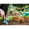 thumbnail image 4 of Set of 24 Heirloom Vegetable Garden Seeds - Heirloom Vegetable Garden Seeds - 100% Non-GMO! - Semi Assorted, 4 of 9