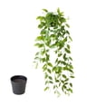 thumbnail image 5 of Hanging Artificial Pothos with Pot, Faux Trailing Green Vine Plant for Indoor Wall Shelf Home Decor, 5 of 5