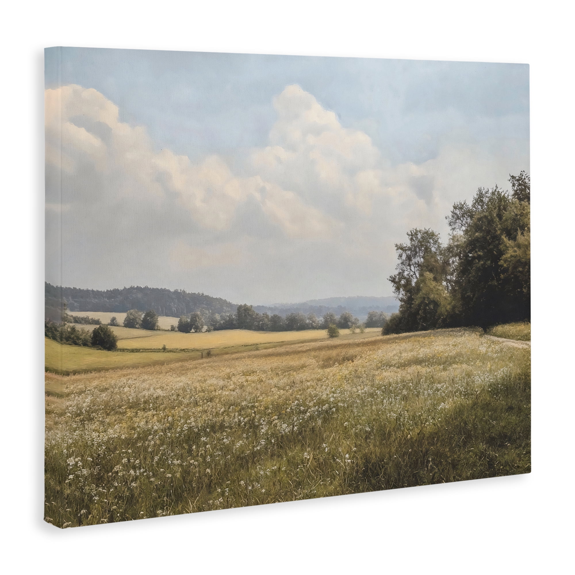 Stupell Industries Summer Landscape Cloudy Meadow Canvas Wall Art, design by Franklyn Gregory