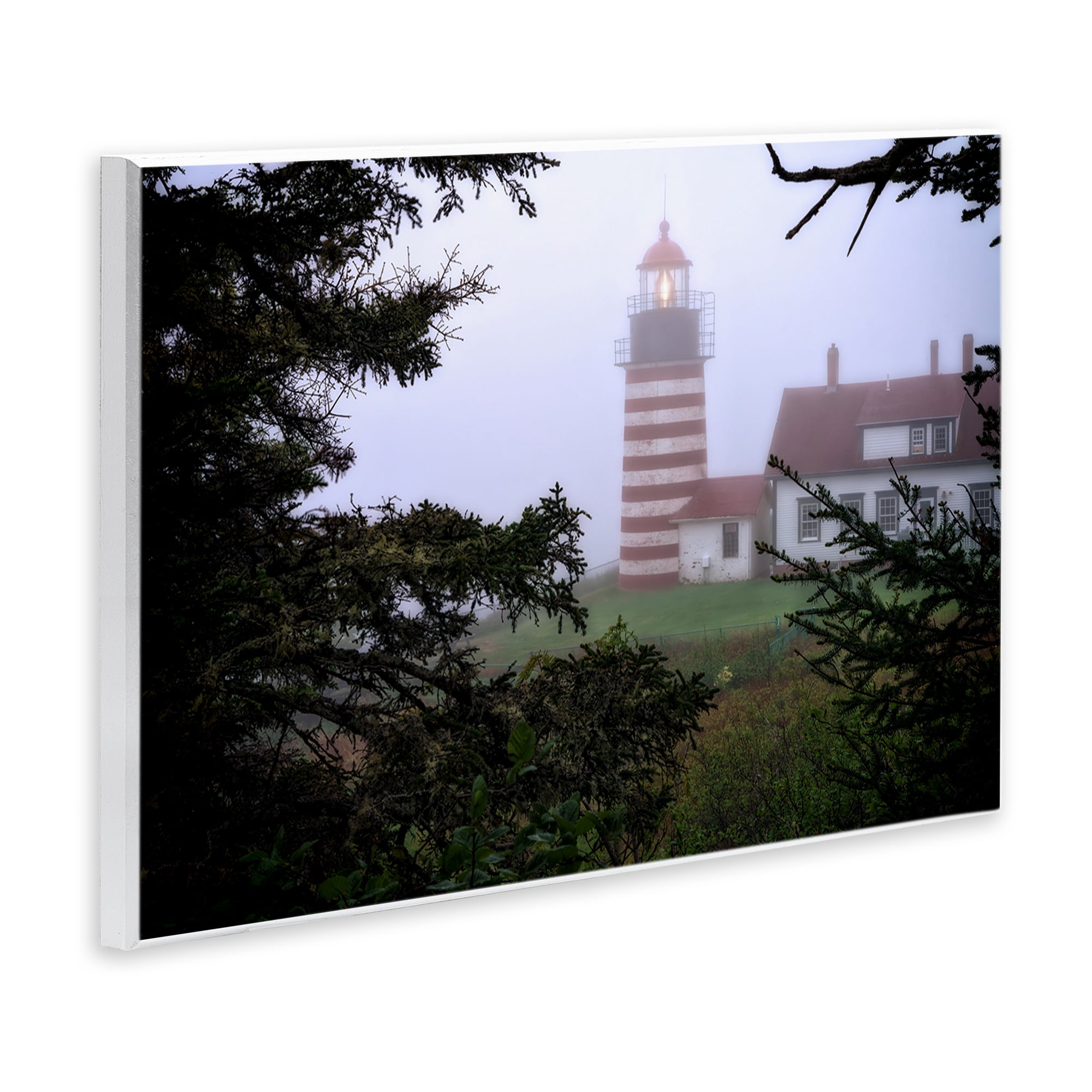Stupell Industries Socked In By Fog Wall Plaque Art, design by Rick Berk
