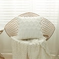 thumbnail image 1 of Plush Pillow Cover Deluxe Decorative Plush Pillow Case Cushion Shell for Sofa, 1 of 1