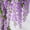 Purple, variant on 1 Pack Artificial Wisteria Flower Rattan Blue, Artificial Flower Vines, Fake Wisteria, Artificial Vines Hanging Garland for Home Garden Wedding Décor Backdrop Outdoor Yard Garden Decor(Blue)