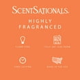 thumbnail image 3 of Beach, Please Scented Wax Melts, ScentSationals, 2.5 oz, 3 of 5