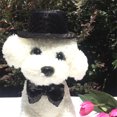 thumbnail image 3 of unbranded 2Ud De Sombrero Y Con Lentejuelas Para Mascotas Ideal Para Fiestas Y Eventos, 3 of 8