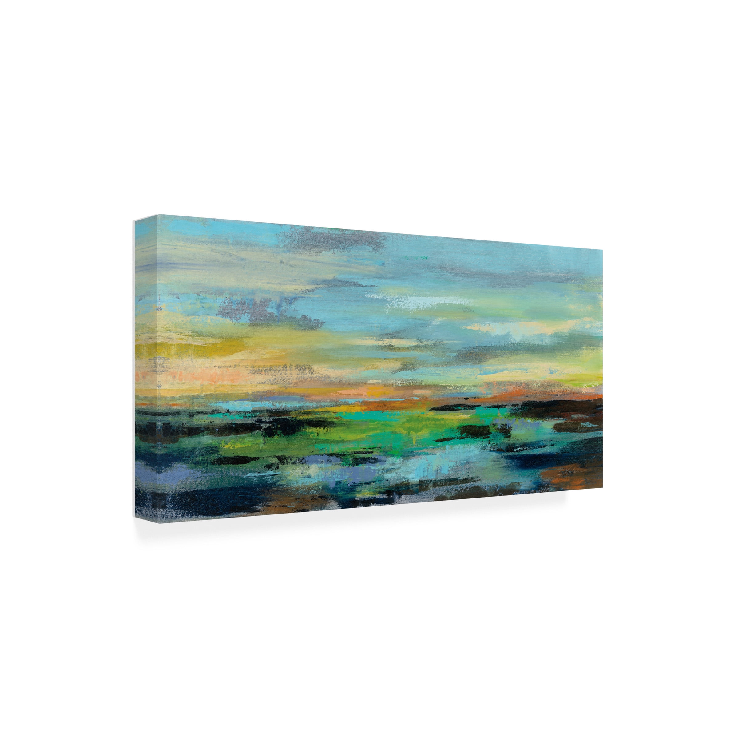 Trademark Fine Art 'Delmar Sunset I' Canvas Art by Silvia Vassileva