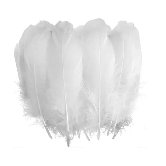 100 Plumas Ave Ganso Pavo Decorativa Mide Entre 10cm A 15cm BLANCO