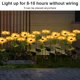 thumbnail image 3 of Worallymy 2 uds. lámparas solares de simulación de girasol para exteriores 8 luces LED para iluminación de paisaje luces para plantas para jardín césped y Patio Worallymy JD735806458, 3 of 7