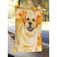thumbnail image 2 of Carolines Treasures BB9925CHF Golden Retriever Fall Flag - Canvas House Size, 2 of 4