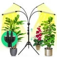 thumbnail image 6 of LED plant growth lamp USB full-spectrum warm white timing dimming indoor plant lamp flower tripod bracket plant lamp, 6 of 6