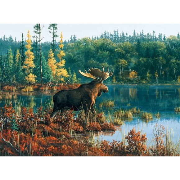 BLACK BAY MOOSE - FRENCH