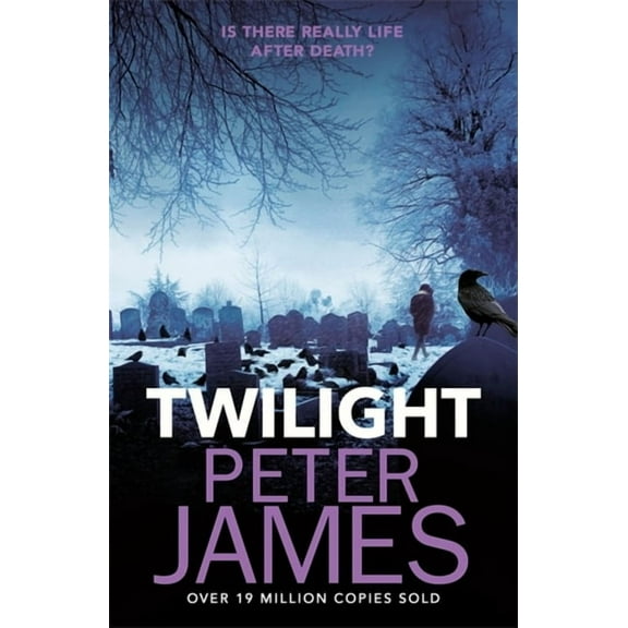 Twilight (Paperback)