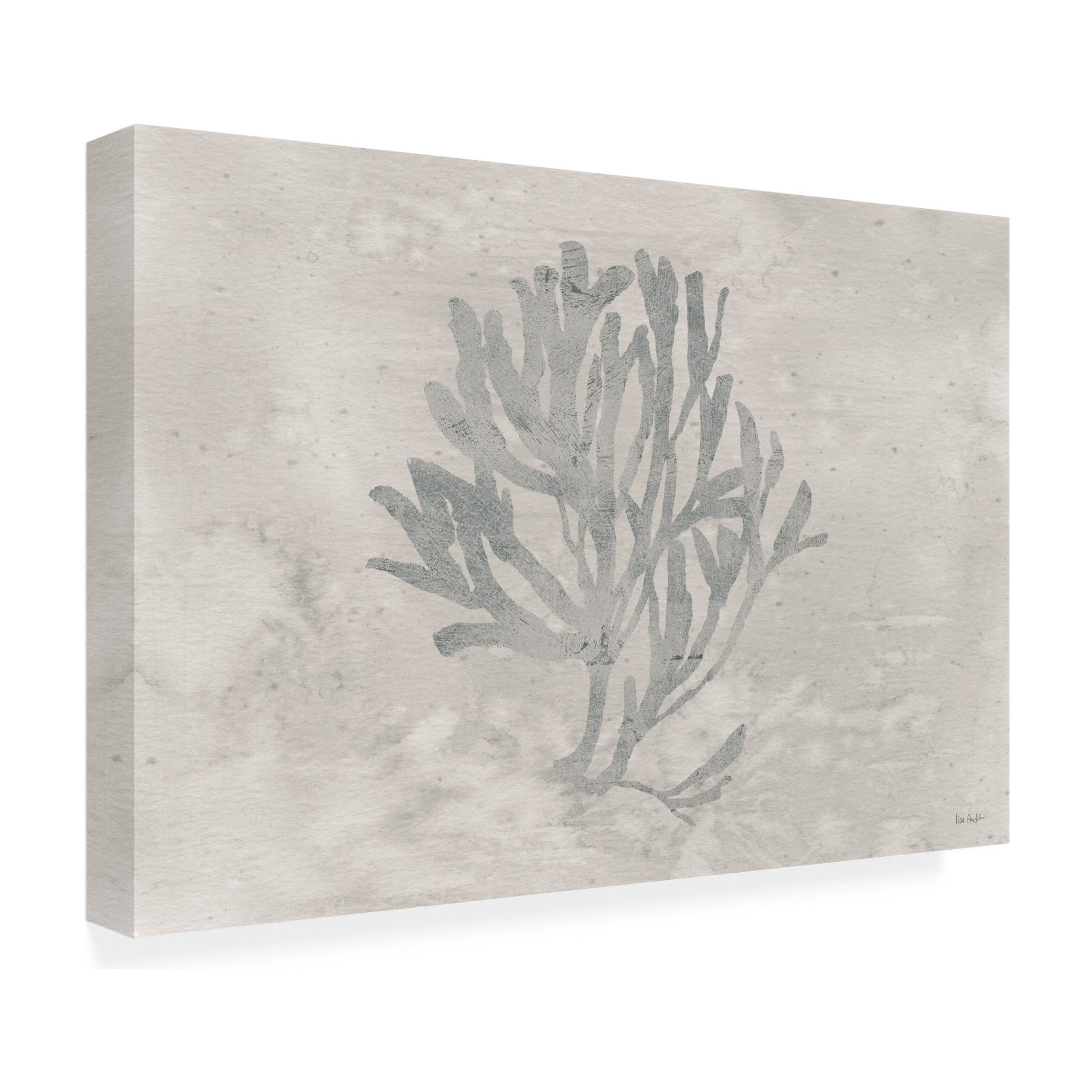 Trademark Fine Art 'Water Coral III' Canvas Art by Lisa Audit