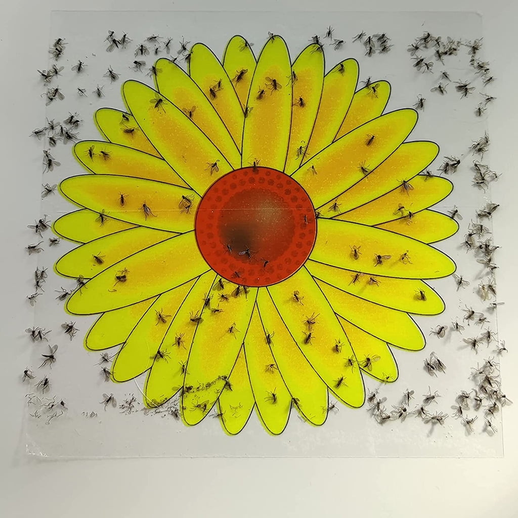 8pk Sunflower Fly Stickers for Windows - Fly Traps Indoor for Home Use - Window  Fly Stickers - Fly Catcher Indoor, Fly Trap Indoor
