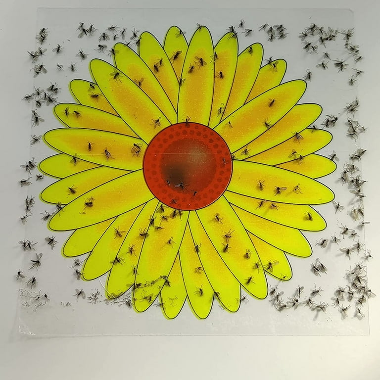 Fruit Fly Trap Fly Trap Window Sticker Floral Style Fly - Temu