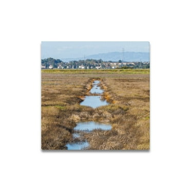 Set of 4 Marshland Stream Path Oil Paintings 16x16 Inch Hand-Painted Canvas Wall Art for Living Room Bedroom Decor with Earthy Tones and Modern Style, Ready to Hang, Perfect for Home or Office Space