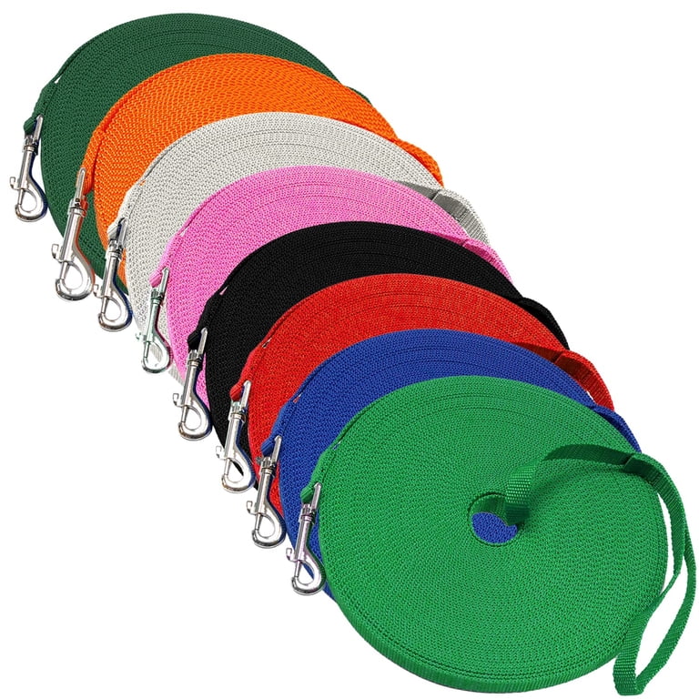 Downtown Pet Supply 20' Dog Training Lead, Green photo 2