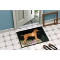 thumbnail image 4 of Carolines Treasures SS8478JMAT Paillasson Nuit Étoilée Vizsla - 24 x 36 Po., 4 of 4