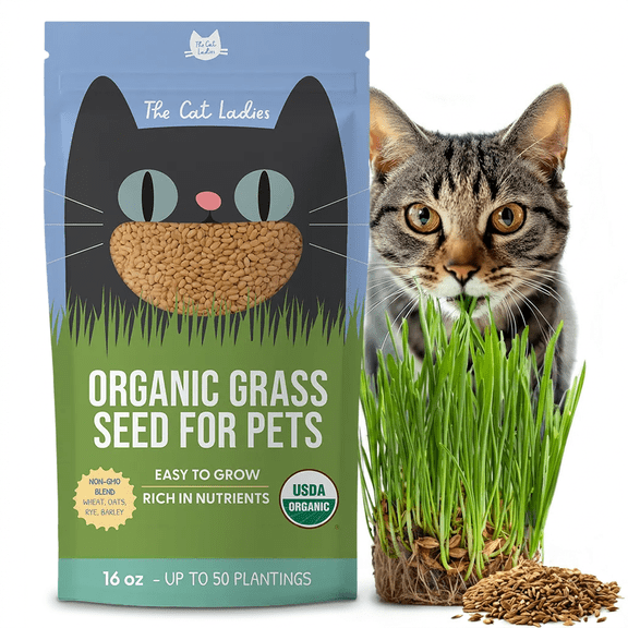 The Cat Ladies Organic Cat Grass Seed 16 oz, Non-GMO Blend for Indoor Planting