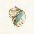 thumbnail image 3 of Loreth, Lanie 20x20 Black Modern Framed Museum Art Print Titled - Coastal Teal Seashell I, 3 of 5