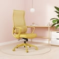 thumbnail image 1 of Silla de oficina colorida ergonómica 300lb (aproximadamente 149.7kg) Silla de computadora de soporte lumbar ajustable, 1 of 4