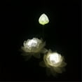thumbnail image 3 of Solar Lights Simulate Outdoor Courtyard Garden LED Lawn-Lights-Landscape, 3 of 3