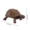 thumbnail image 3 of CWCWFHZH Tortoise Figurines Toys Home Decorate Preschool Educational Education Toys, 3 of 3