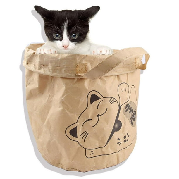 de bolsa de papel para gatos de juego de actividades para gatos