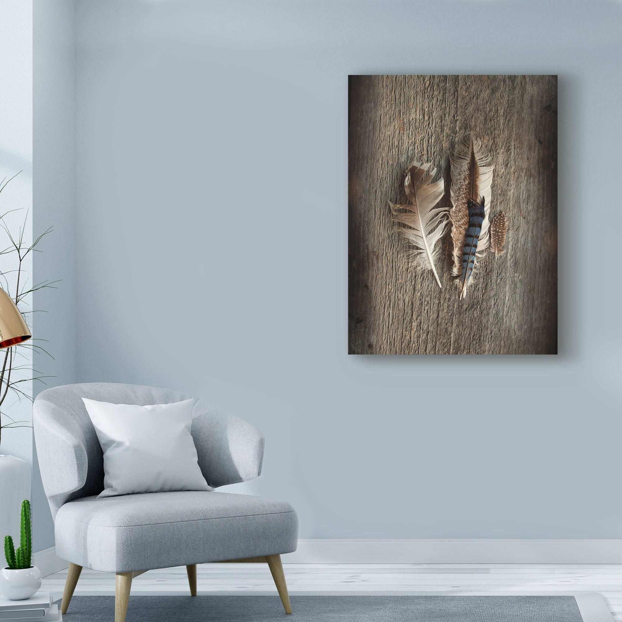 Trademark Fine Art 'Feather Collection III' Canvas Art by Sue Schlabach