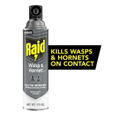 Raid Wasp & Hornet Killer, Outdoor Flying Inse Count Spray, 17.5 oz