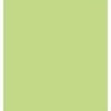 RTC Fabrics 42"/43" 100% Cotton Flannel Solid Lime Green Color Crafting Fabric by the Yard