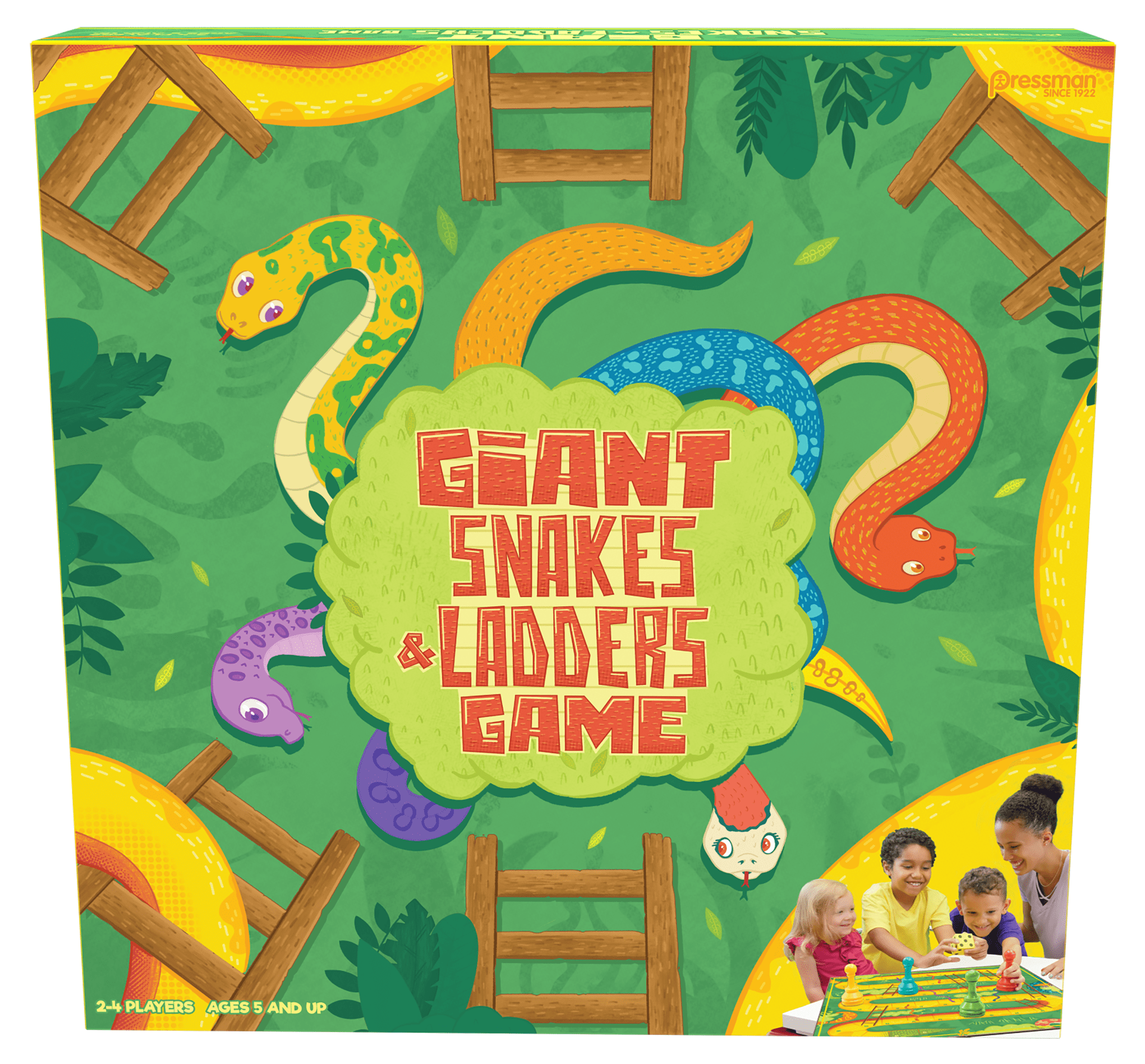Giant Snakes and Ladders