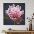 thumbnail image 1 of PixonSign Canvas Print Wall Art Crisp Detailed Pink Water Lily Floral Plants Photography Realism Glam Closeup Colorful Multicolor Ultra for Living Room, Bedroom, Office - 12"x12", 1 of 5