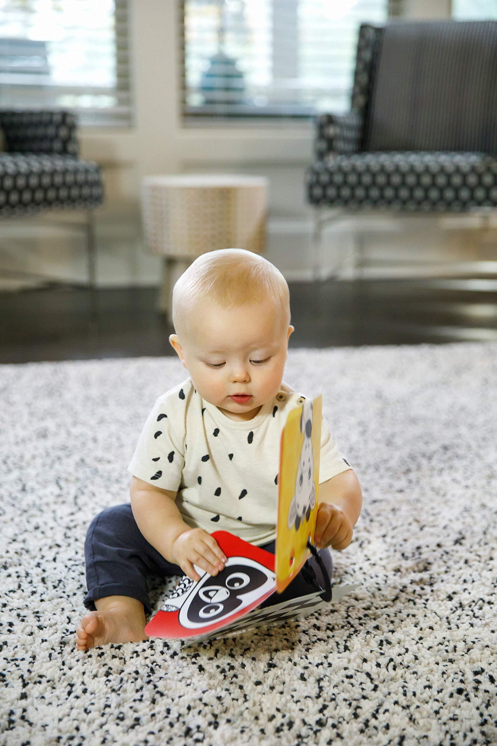 baby einstein flip for art