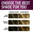 thumbnail image 2 of Schwarzkopf Keratin Color Permanent Hair Color Cream, 2 of 8