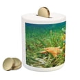 thumbnail image 2 of Starfish Piggy Bank, Underwater Marine Life with Colorful Sponges and Starfish Surrounded by Seagrass, Ceramic Coin Bank Money Box for Cash Saving, 3.6" X 3.2", Multicolor, by Ambesonne, 2 of 4
