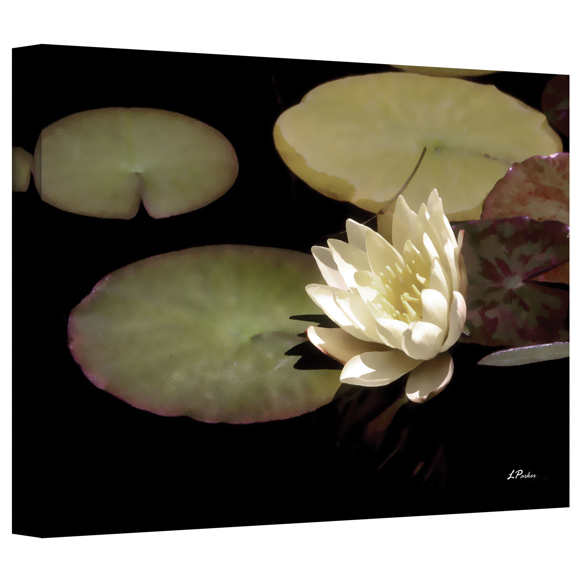 ArtWall Linda Parker "Water Lily I" Gallery-wrapped Canvas