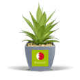 thumbnail image 1 of Bahrain Asian Flag Persian Gulf Fake Pineapple Flower Pot Vase Mini Decor, 1 of 3