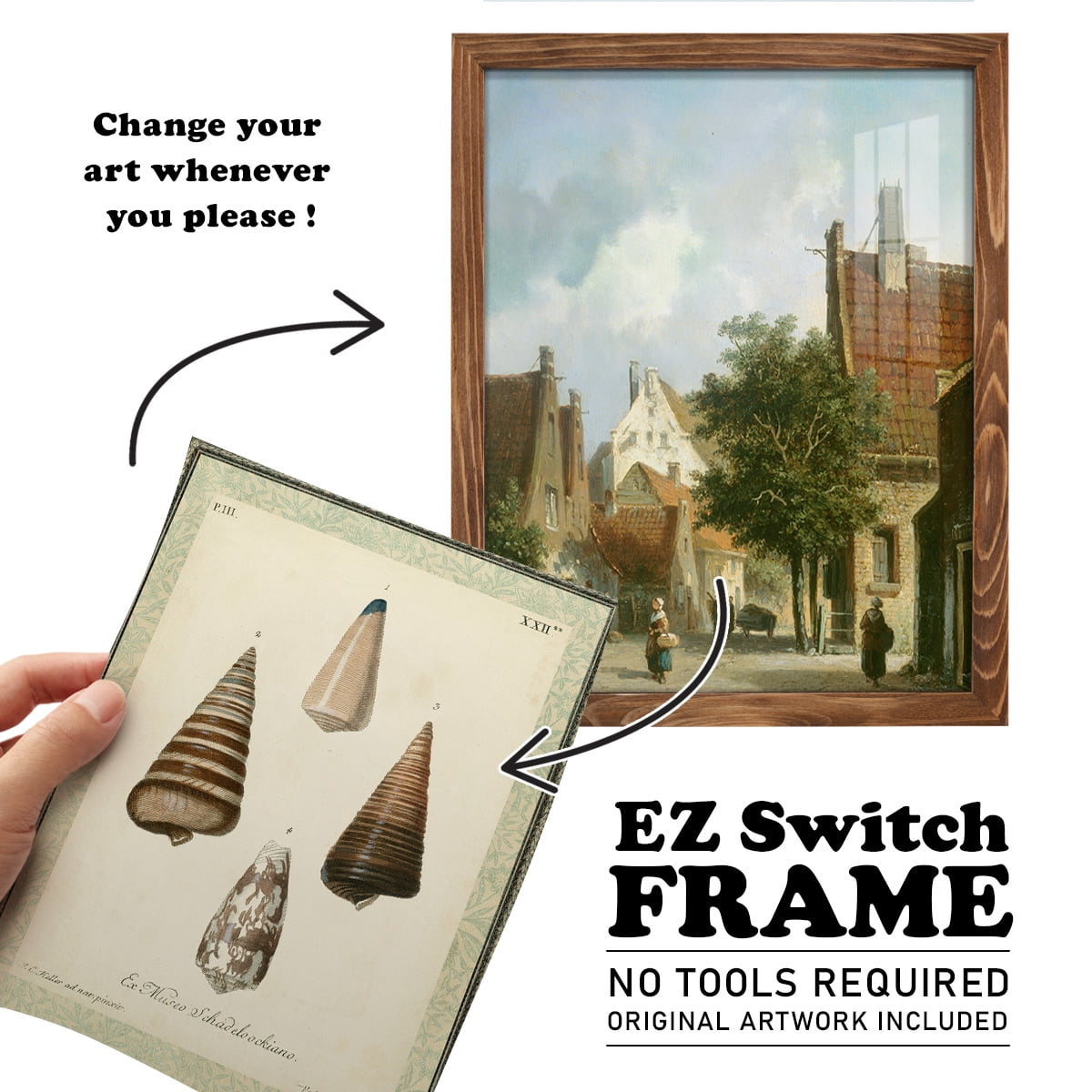 Bookplate Shells VI - Framed Print w/glass - Walnut
