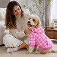 thumbnail image 4 of Classic Plaid Dog Hoodie Sweatshirt Soft Warm Hooded Pet Clothes with Pocket Daily holiday dress-up Fall Winter Apparel for Small Medium Large Dogs, 4 of 5