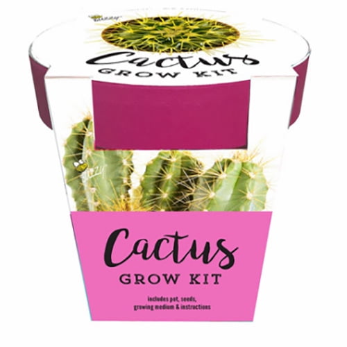 BUZZY INC 96020 PNK Cactus Grow Kit