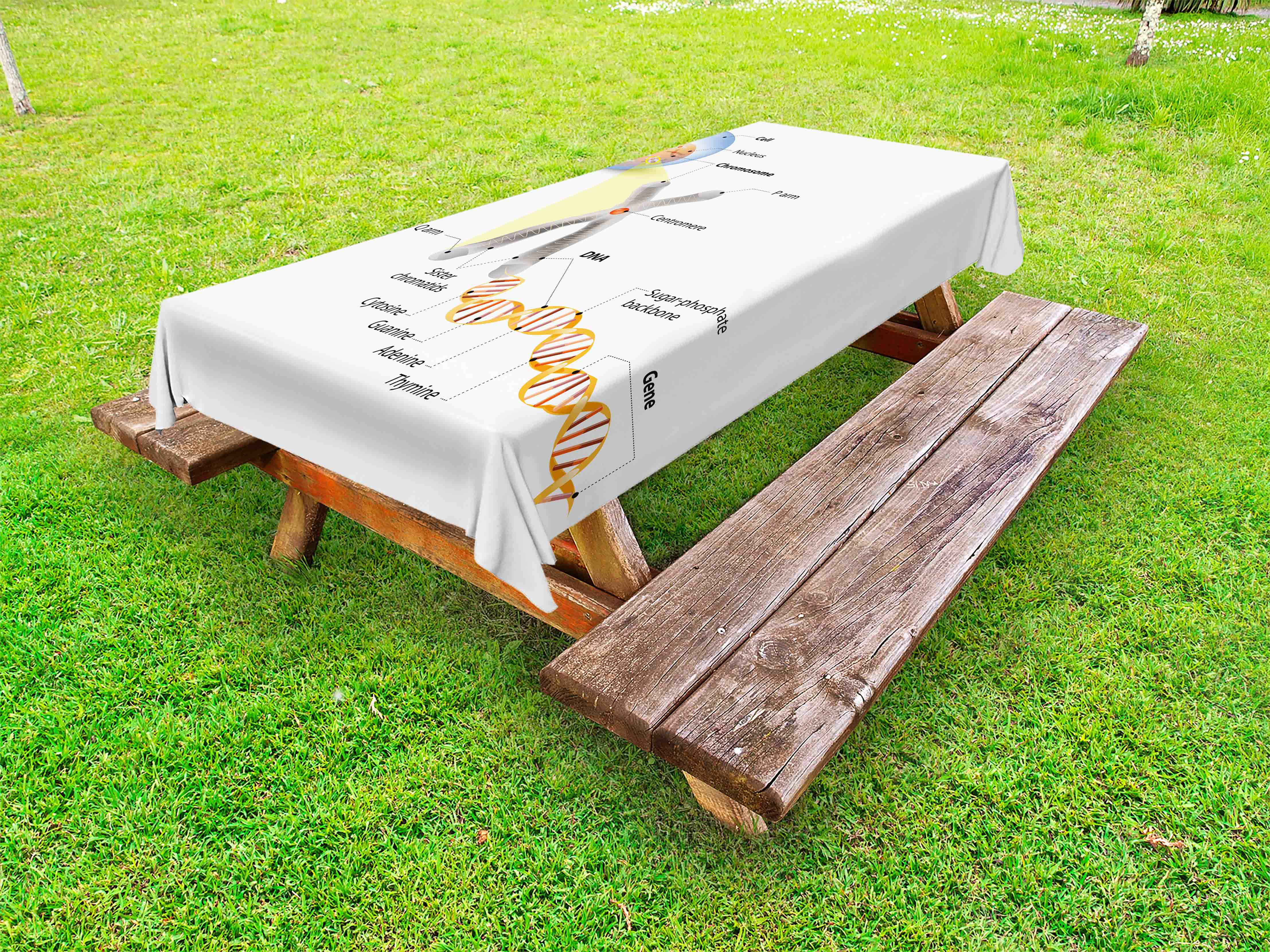 Educational Summer Table Cloths Cell Chromosome DNA Gene Genome Study Double Helix Evolution Science Research Multicolor All Weather Outdoor Table Cloth Spring/Summer/Party/Picnic 52 by 70