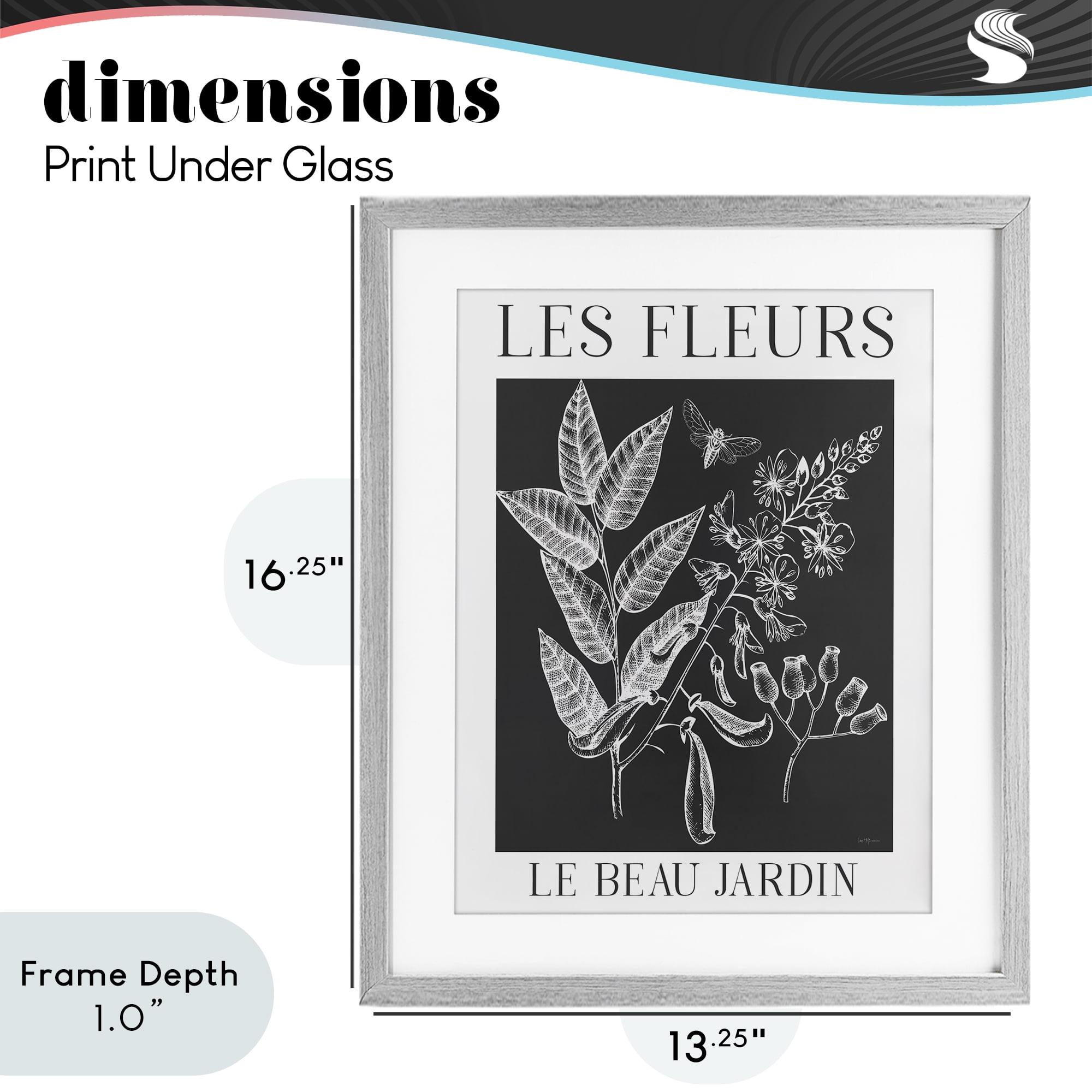 Stupell Industries Les Fleurs Black & White Contour Gray Framed Print Under Glass, design by Lux + Me Designs