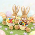 thumbnail image 3 of Glass Food Storage Containers Toddler Meal Prep Containers-Plush Rattan Storage Basket Easter Decorative Basket Desktop Snack Key Storage Basket Cute Ornament In Children's Room, 3 of 9