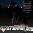 thumbnail image 6 of Country Brook Petz® Everyday Safety Reflective Dog Collar (Teal, Medium), 6 of 7