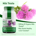 thumbnail image 6 of Fresh Nutrition Organic Milk Thistle Supplement 2000mg (Silymarin) 120 Capsules, 6 of 9