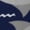 Angry Shark, variant on Animals Rescue Team Print Workout Shorts for Women Soft Smooth Gym Yoga Scrunch Active Tennis Workout Running Shorts