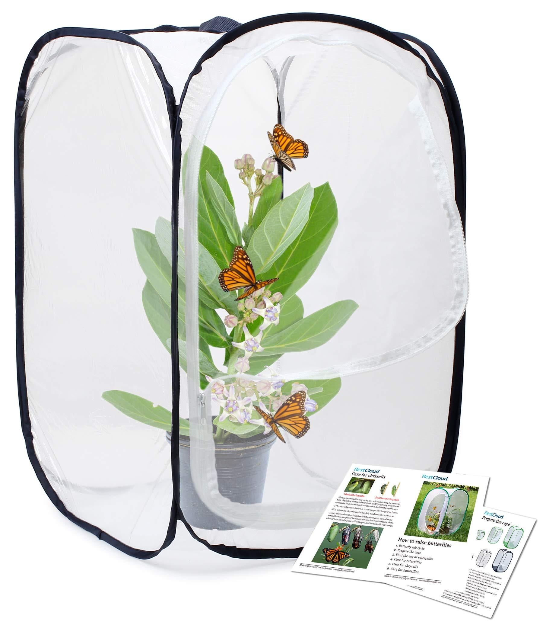 RESTCLOUD Insect and Butterfly Habitat Cage Terrarium Popup 23.6