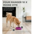 thumbnail image 3 of Violte S Fun Feeder Slo-Bowl - Anti-Glutton Slow Feeding Bowl for Dogs - Size, 3 of 5