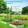 thumbnail image 4 of Slsy Galvanized Raised Garden Bed with 85in Tall Garden Trellis for Vegetables Flowers Herbs, Tall Metal Plant Support Trellis Archway for Climbing Vine Vegetable/Fruit/Flower, 4 of 9