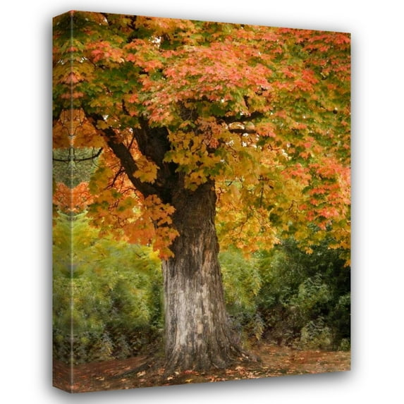 Vitaly Geyman 33x44 Gallery Wrapped Canvas Wall Art Titled - Fall Maple Fever I